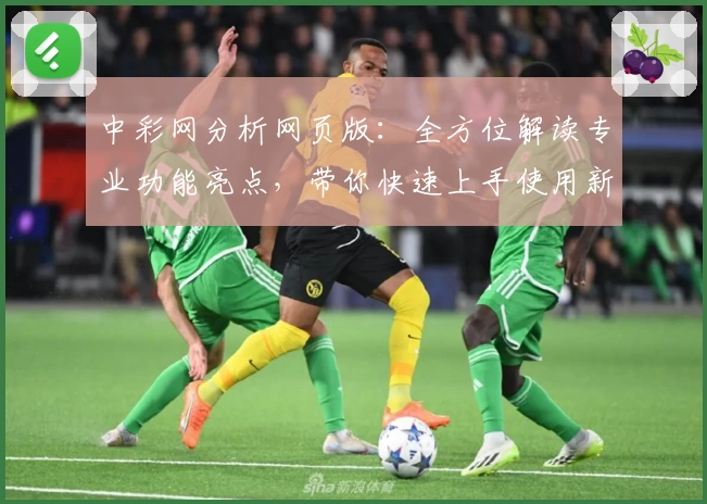 中彩网分析网页版：全方位解读专业功能亮点，带你快速上手使用新手指南