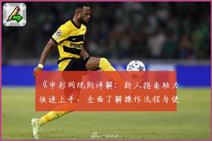 《中彩网规则详解：新人指南助力快速上手，全面了解操作流程与使用技巧》