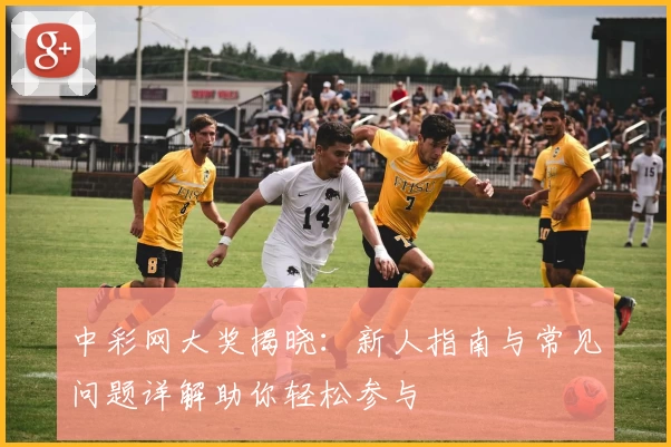 中彩网大奖揭晓：新人指南与常见问题详解助你轻松参与