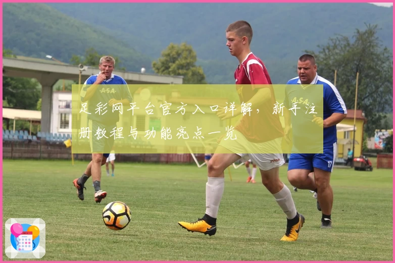 足彩网平台官方入口详解，新手注册教程与功能亮点一览