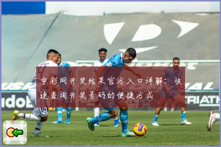 中彩网开奖结果官方入口详解：快速查询开奖号码的便捷方式