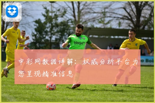 中彩网数据详解：权威分析平台为您呈现精准信息