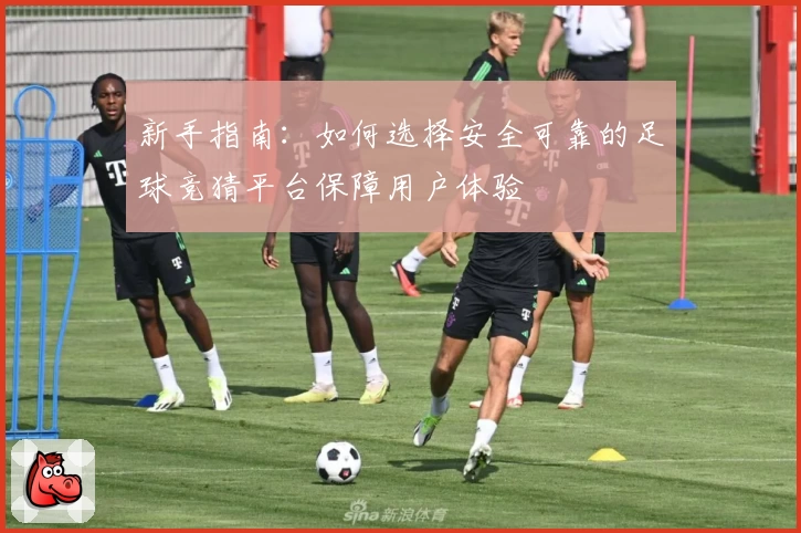新手指南：如何选择安全可靠的足球竞猜平台保障用户体验