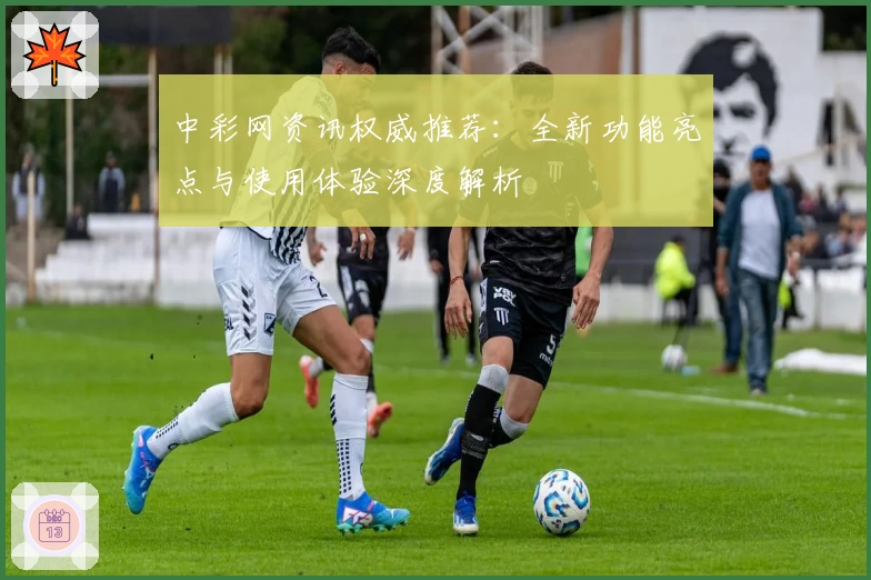 中彩网资讯权威推荐：全新功能亮点与使用体验深度解析