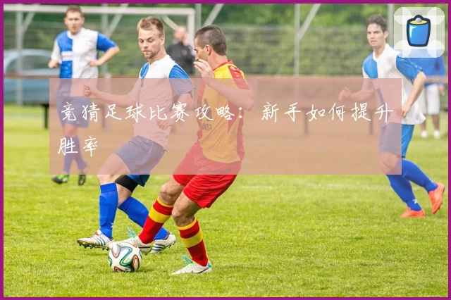 竞猜足球比赛攻略：新手如何提升胜率