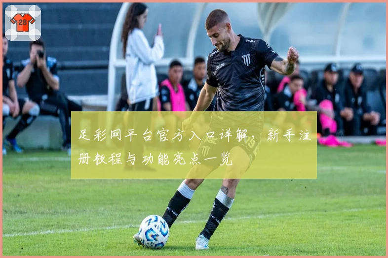 足彩网平台官方入口详解，新手注册教程与功能亮点一览