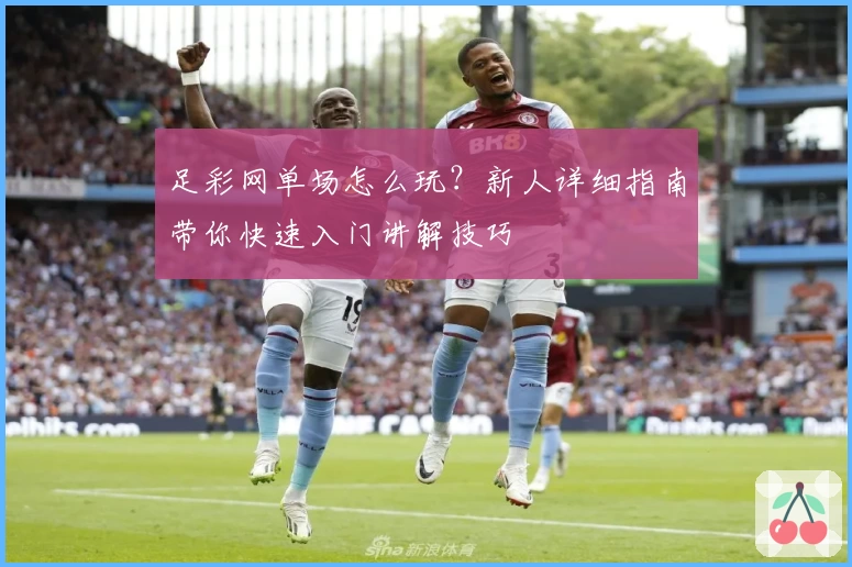 足彩网单场怎么玩？新人详细指南带你快速入门讲解技巧